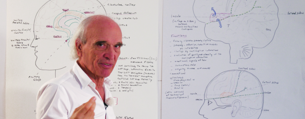 General overview, "brain functional listening" and a complete treatment demonstration after mechanical trauma